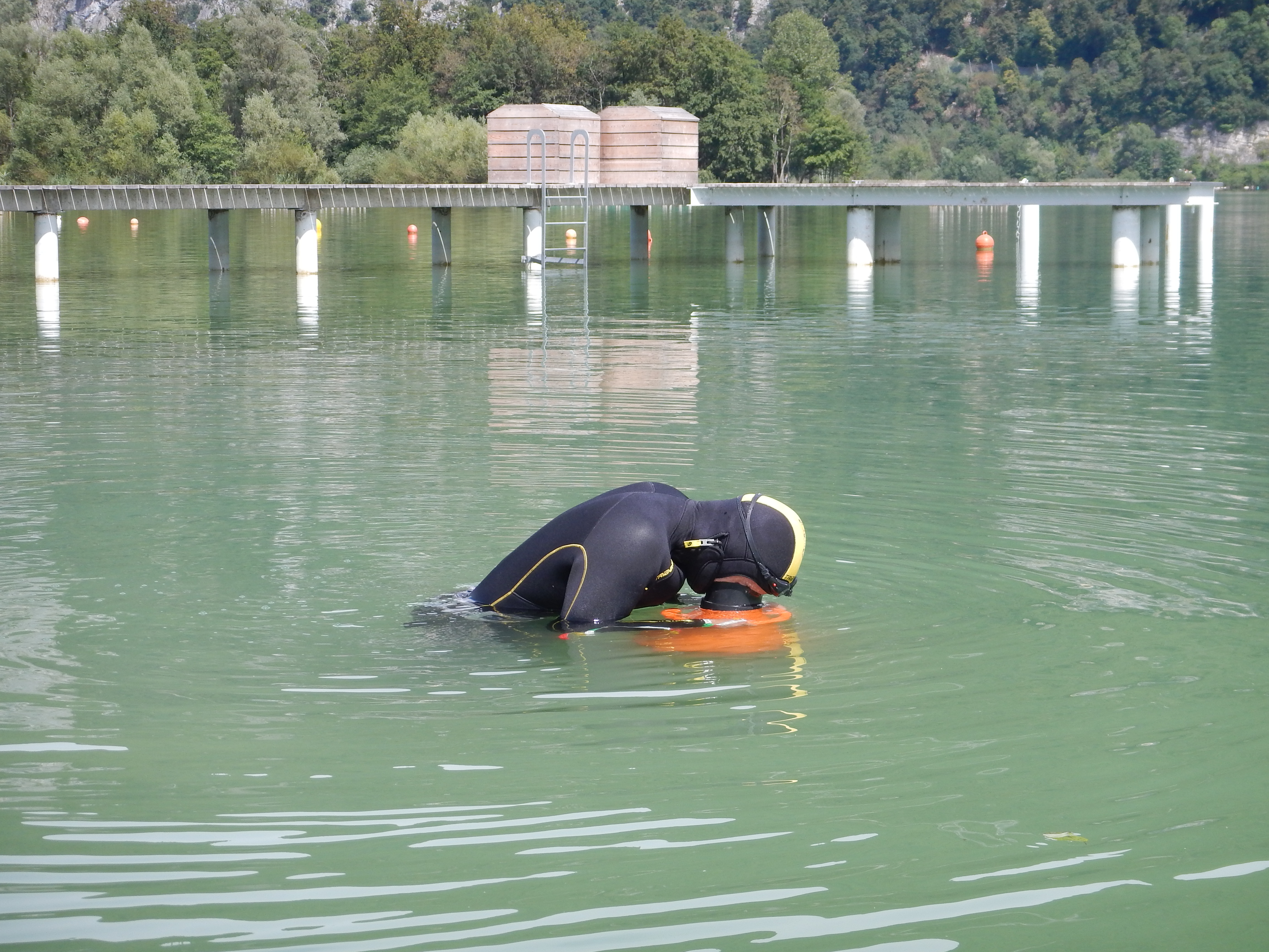 Observation sous-marine