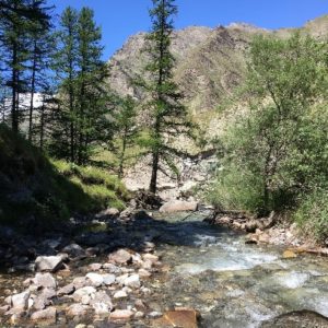 Torrent de Crévoux (Hautes-Alpes)