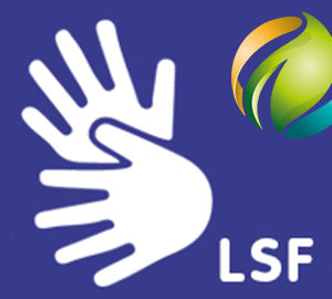 lsf inclusion tereo