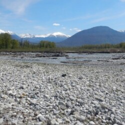Habitats alluviaux pionniers à la confluence Gresse-Drac en amont de Grenoble (Isère) habitats alluvieux - tereo