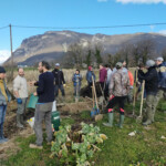 plantation equipe 3 - bilan carbone
