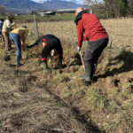plantation équipe tereo - bilan carbone