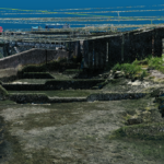 Fig. 10 - Représentation 3D du nuage de points en vue immersive