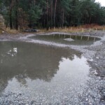 Les mares compensatoires reprises par TEREO durant l’hiver 2023/2024 et utilisées par le crapaud calamite dès mai 2024