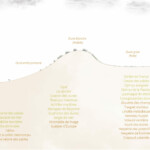 Quelques espèces emblématiques des dunes littorales bretonnes
