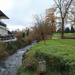 Secteur aval endigué par enrochements et colonisé par un massif de bambous