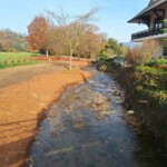 Retrait des protections de berges et création de banquette en blocs